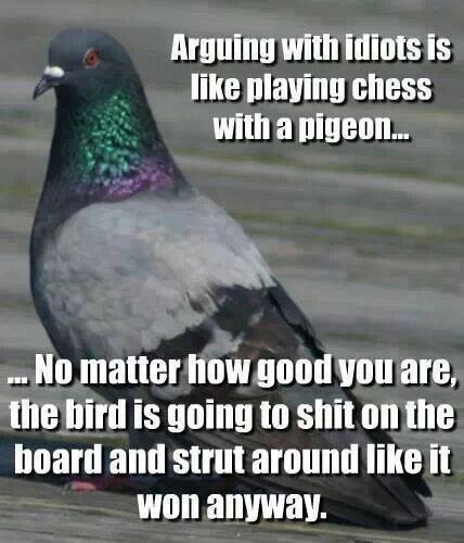 arguing-with-idiots-is-like-playing-chess-with-a-pigeon.jpg